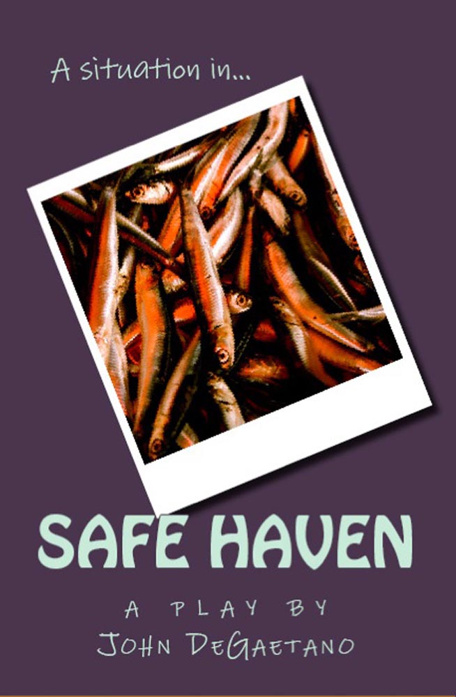 Situation in Safe Haven Play Book Cover