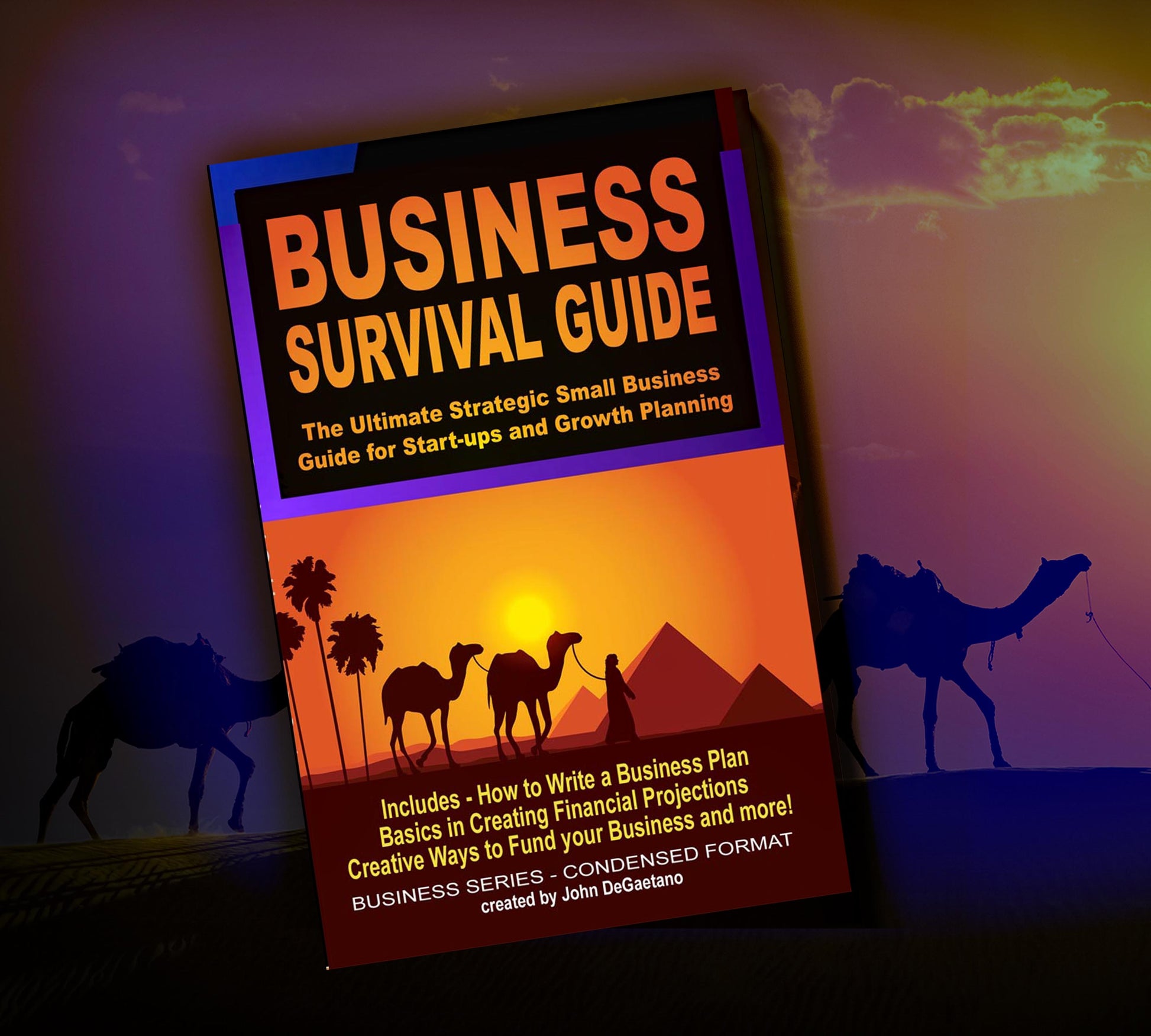 Image of Business Book Survival cover