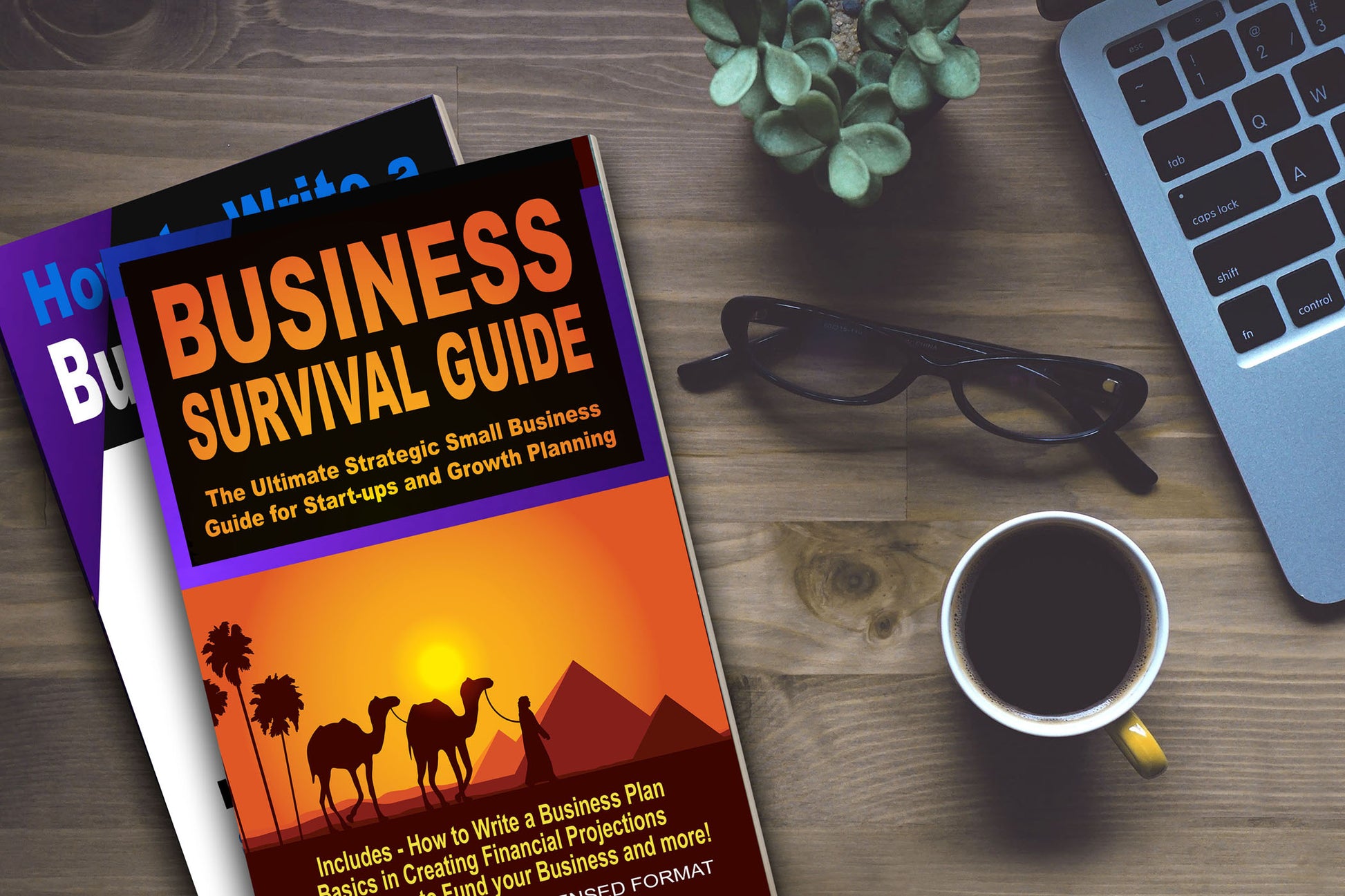 Image of Business Survival Guide book cover